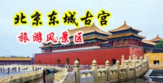 狂草美女嫩穴中国北京-东城古宫旅游风景区